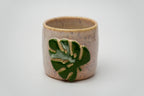 Monstera Vaso