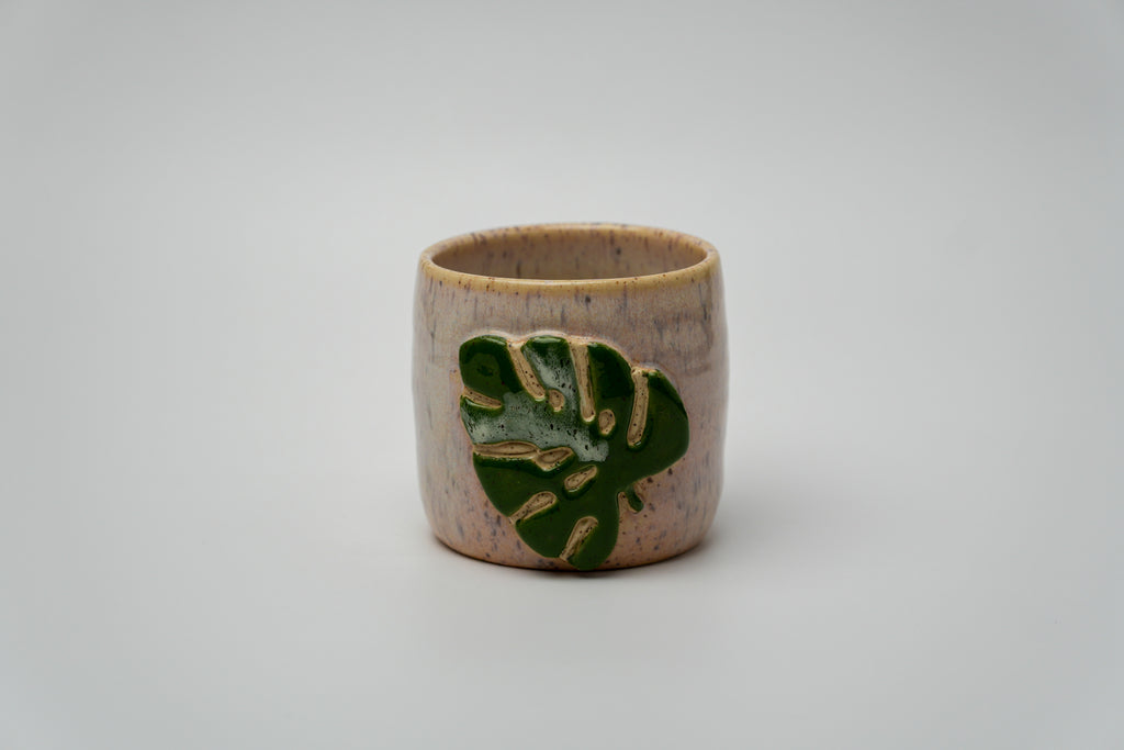 Monstera Vaso