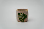 Monstera Vaso