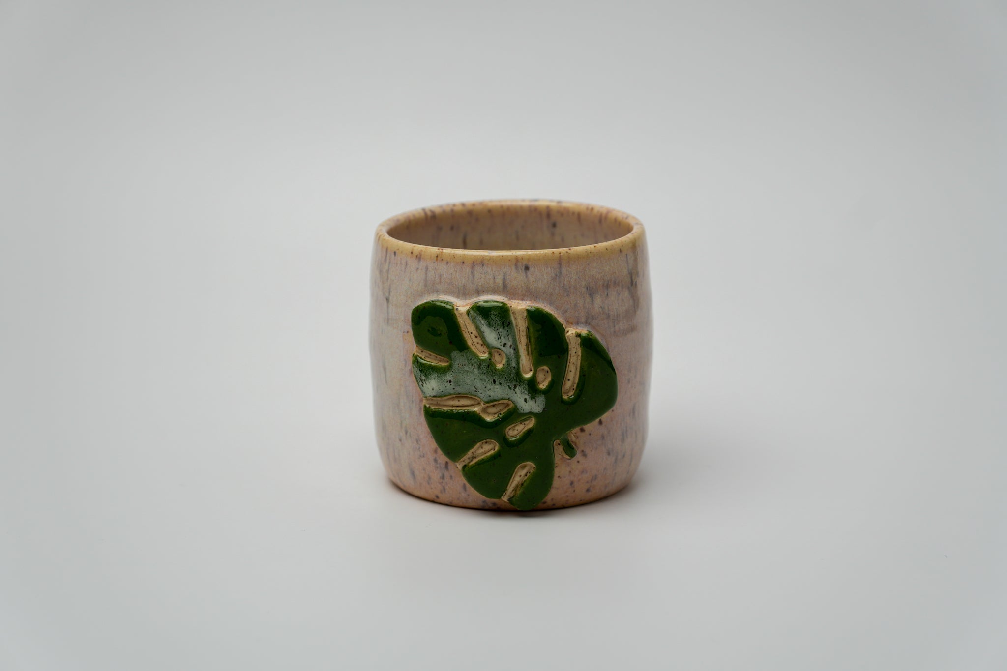 Monstera Vaso