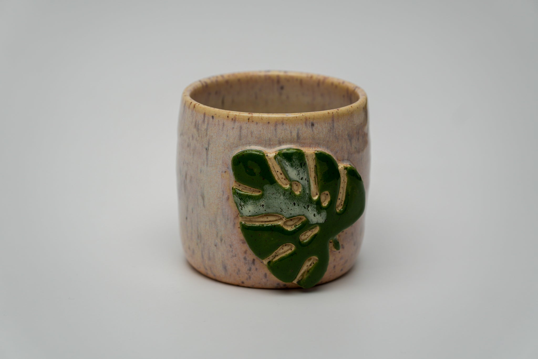 Monstera Vaso